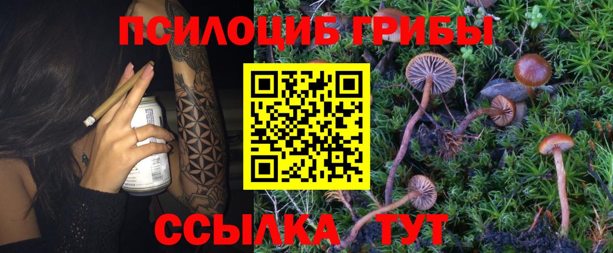 Галлюциногенные грибы Cubensis  Вход с VPN  Галлюциногенные грибы MAGIC MUSHROOMS  Геленджик 