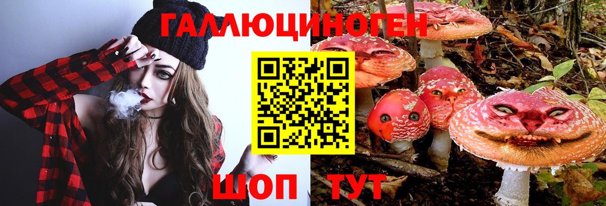 Галлюциногенные грибы ЛСД Геленджик